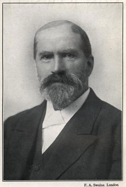 Elderly white man with receding hair together with neat beard