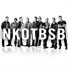 Nkotbsb-album-cover.jpg