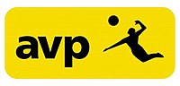 Ассоциация профессионалов волейбола logo.jpg
