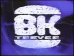 BK Tee Vee logo.png