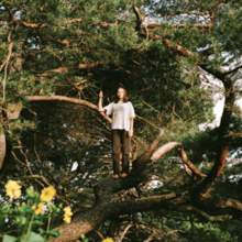 A woman wearing a white T-shirt and brown pants standing on a tree branch with her right arm up