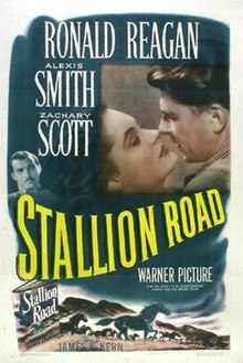 Stallion Road movie