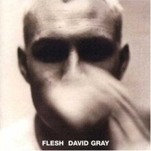 Flesh David Gray.jpg