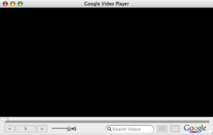 Главное окно Google Video Player
