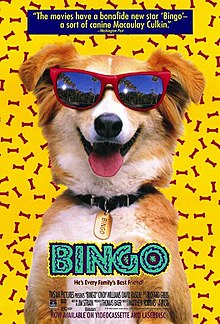 Bingo Film