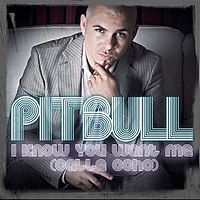 200px-Pitbull_i_know_you_want_me_cover.jpg