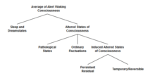 A simple classification scheme for ASC. Sleep and dream states are distinguished from waking consciousness since they account for substantially different ways of the ability of memory formation and retrieval. Psychiatric diseases that go along with persistent changes of consciousness, like schizophrenia, are covered with the term "pathological conditions". In contrast, the classification scheme includes intended and induced ASCs as well as general fluctuations of neurotransmission, which are reversible and short-termed. One step further the graph suggests splitting induced ASCs in persistent and reversible states. Translated from German Schmidt & Majic. ClassificationOfAlteredStatesOfConsciousness.png