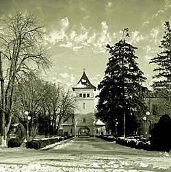 Skyline of Huși