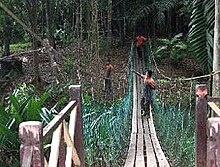 Recreational Forest Ayer Keroh