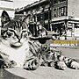 Thumbnail for File:Mermaid Avenue Vol. II (Billy Bragg and Wilco album - cover art).jpg