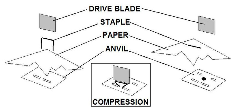 File:Staplerfunction.JPG