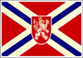 City of Winchester Flag: In case anyone couldn't tell, the folks in Winchester way-back-when decided to make a permanent everlasting statement in their flag. Can you guess what the message is?