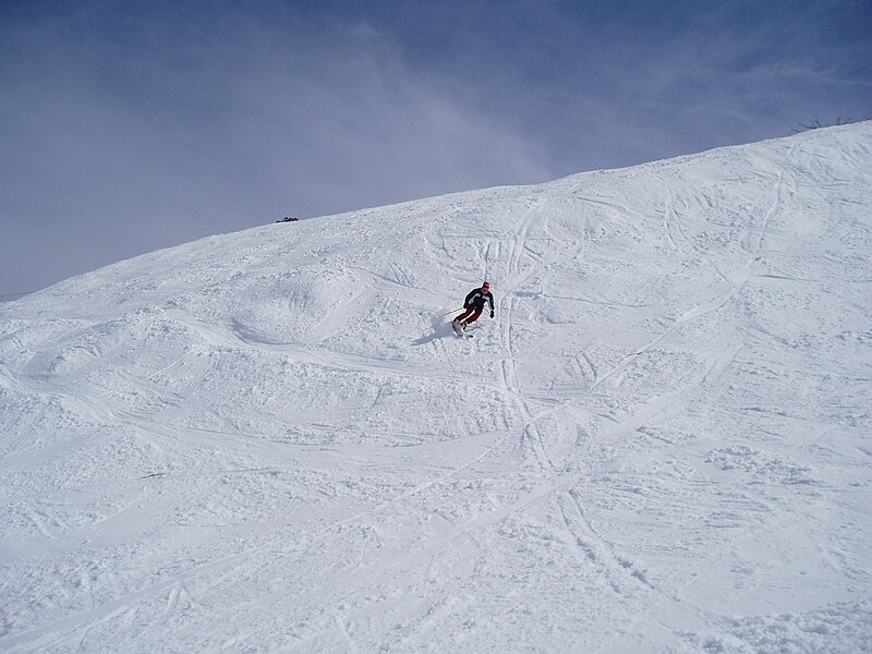 File:Thredbo skiing.JPG