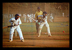 молодые люди играют в крикет