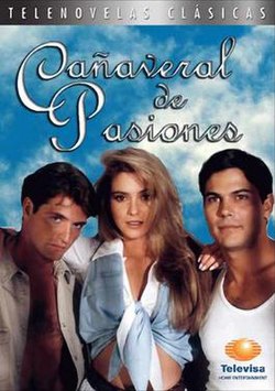 Cañaveral de Pasiones Poster.jpg