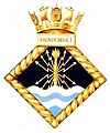 THUNDERBOLT badge-1-.jpg