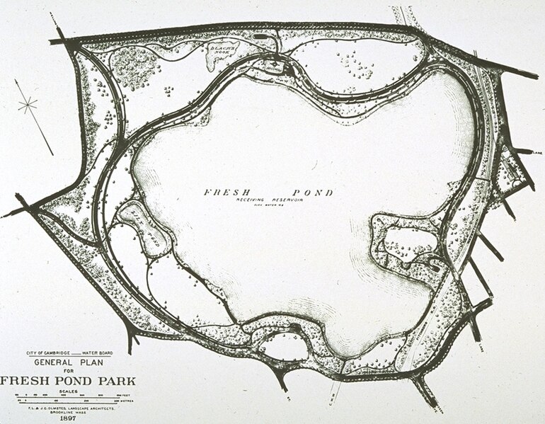 File:Fresh Pond landscape plan by Olmsted.jpg