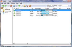 FlashGet 1.9.1012 работает в Windows Vista