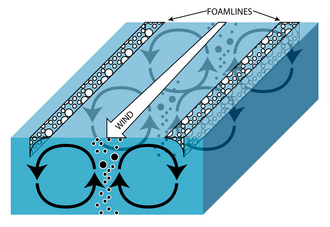Illustration of Langmuir rotations; open circles=positively buoyant particles, closed circles=negatively buoyant particles Foamlines.png