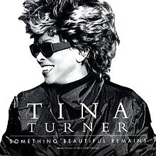 Тина Тернер - Something Beautiful Remains.jpg