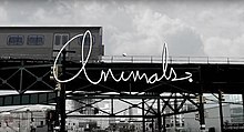 Animals. title card.jpg