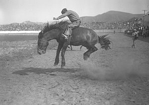 Title: Cowboy riding a bucking bronco at the B...