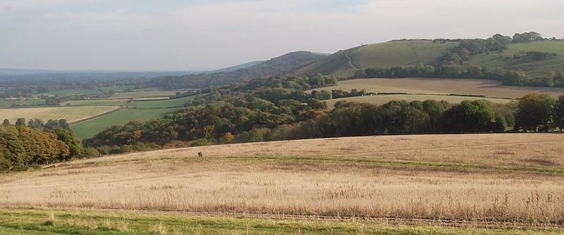 File:Treyford Hill South Downs.jpg