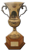 Copa Interamericana trophy.png