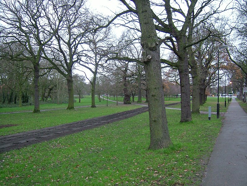 File:Tooting Bec Common south east segment 2007.jpg