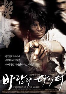 Fighter in the Wind movie poster.jpg