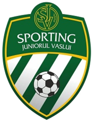 Logo Vaslui
