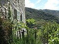 View to olive terraces