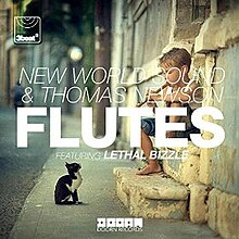 New World Sound Flutes.jpg