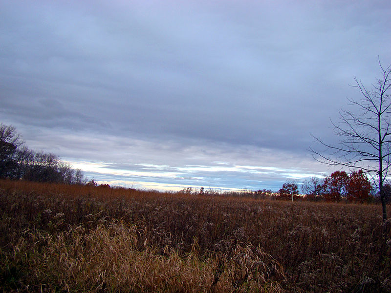 File:Cofrin Memorial Arboretum in fall.jpg