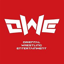 Oriental Wrestling Entertainment.jpg