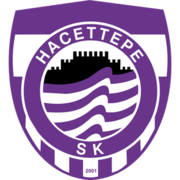 Logo Hacettepe
