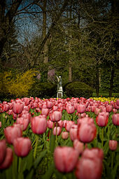 Lexington Cemetery's tulip garden. The facility was founded in 1848, during a cholera epidemic. Lexington Cemetery.jpg