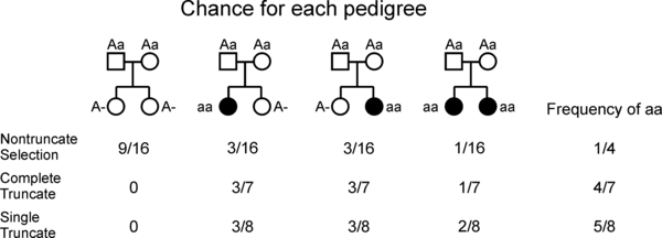 Simple pedigree example of sampling bias Ascertainment bias.png