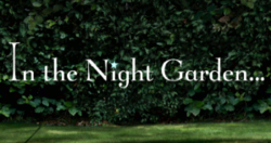 В ночном саду logo.png