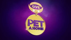 Give A Pet A Home.jpg