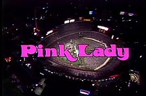 Pink Lady (TV series)