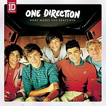 What Makes You Beautiful Album Cover.jpg