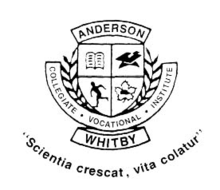 Anderson Collegiate Vocational Institute (logo).png