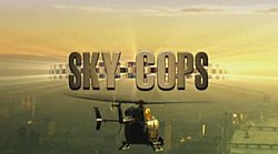 SkyCopstitle.jpg