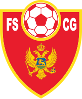 Shirt badge/Association crest