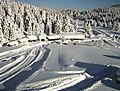 Fresh snow in Pertouli