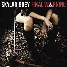 Final Warning Single Cover.jpg