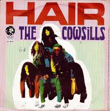 Hair - The Cowsills.jpg