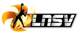 LNSV logo.png