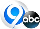 WSYR 2013 Logo.png